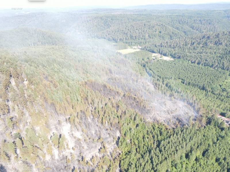 feu-de-foret-bois-de-champ.3jpg