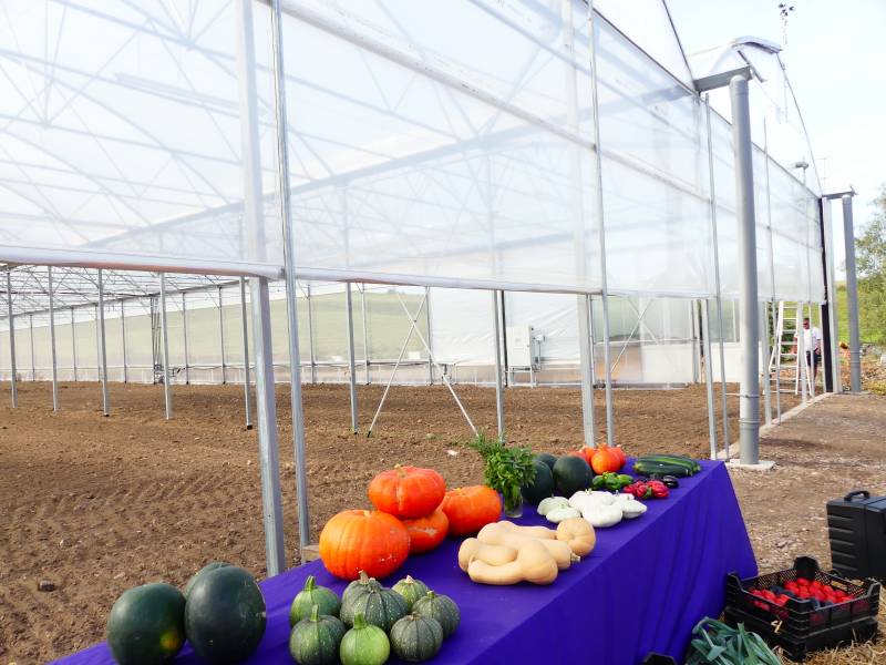 serre-bi-chapelle-epinal (16)