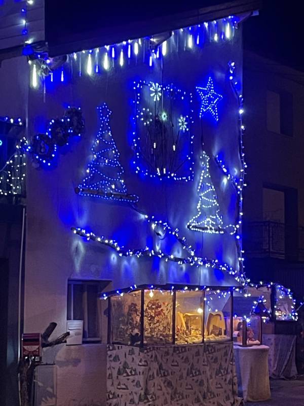 Maison décorée pour Noël (3)