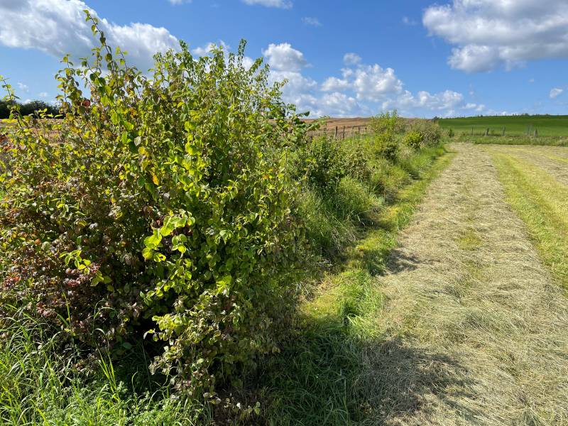 photo Fédération Nationale des Chasseurs