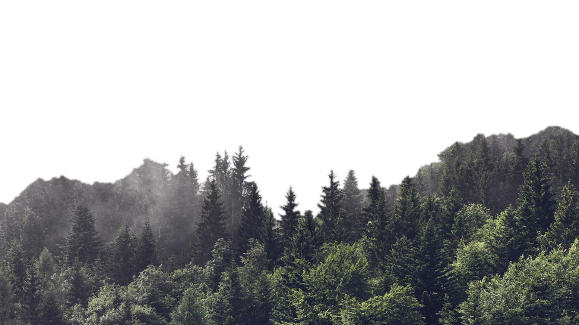infernal-trail-des-vosges 1