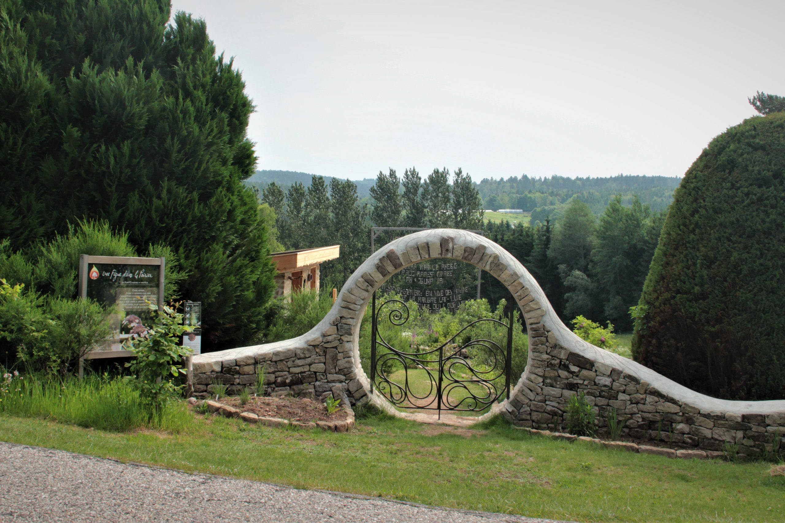 Une figue dans le poirier