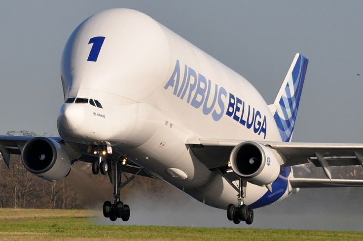airbus-group-beluga