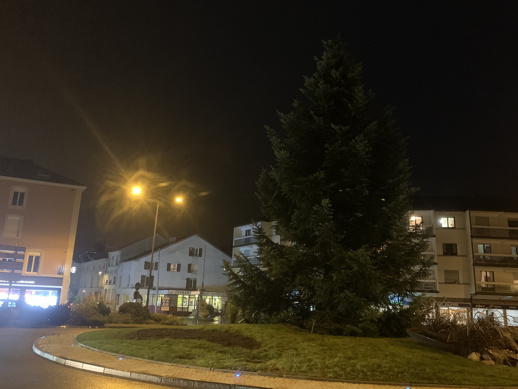 Sapin Remiremont