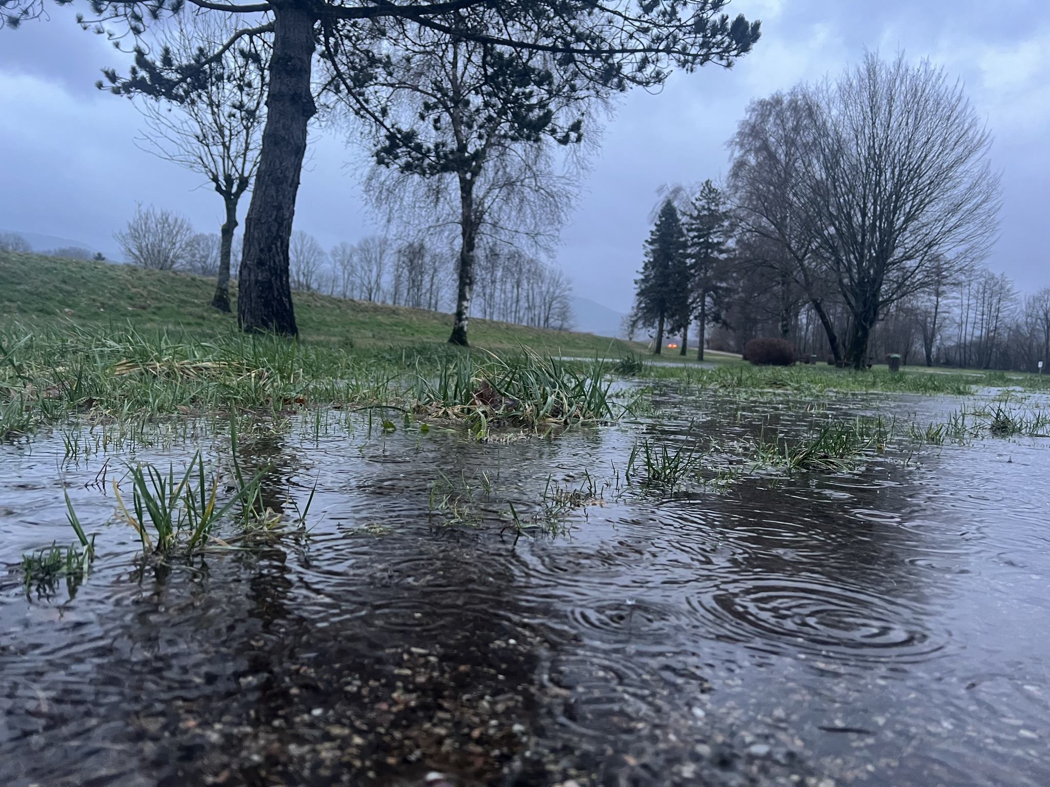 eau moselle moselotte (10)