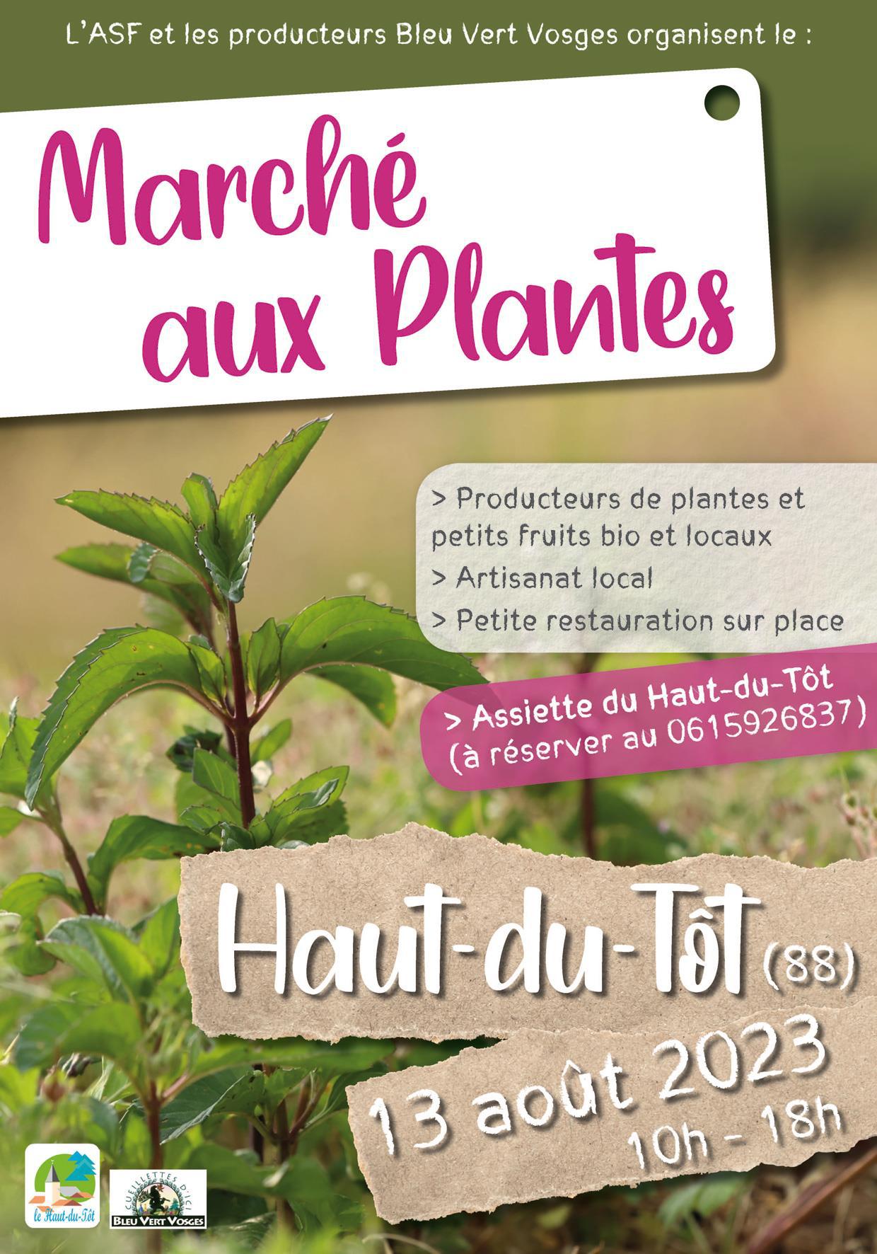 marché aux plantes haut du tot (1)